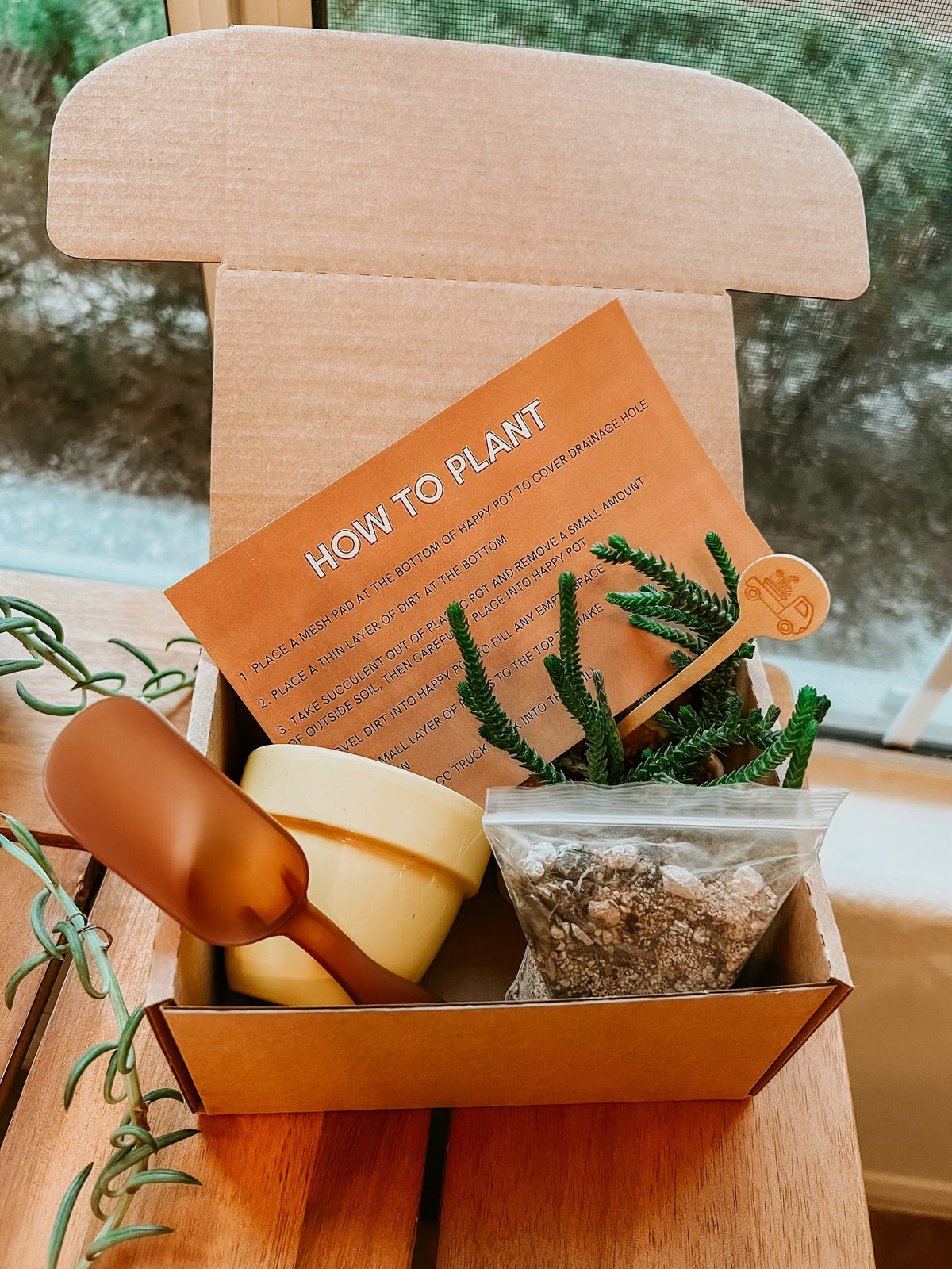 Mini Pot - 'Make Your Own Succulent Kit'